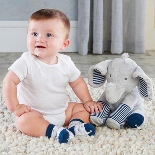 Louie the Elephant Gift Set