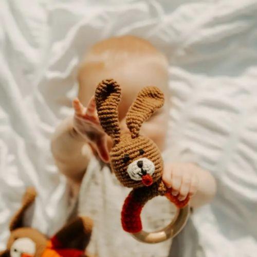 Puppy Teething Ring Rattle
